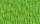 green tweed FT2437